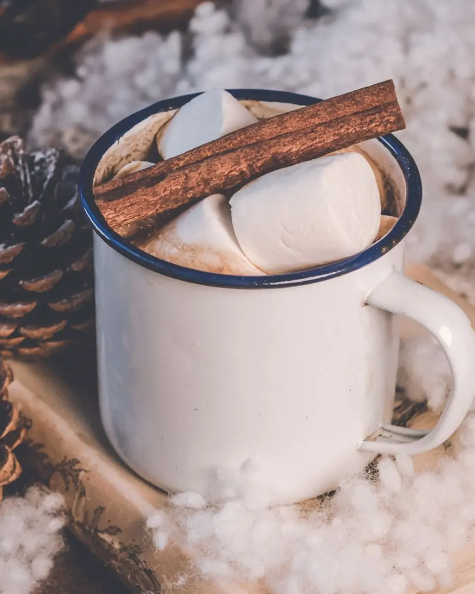 Enamel Camp Mug